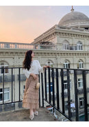 Elegant Multi-Layered Tulle Skirt Long Dress Women's Autumn Winter High Waist Cake Skirt Style Slimming Elegant Midi Skirt